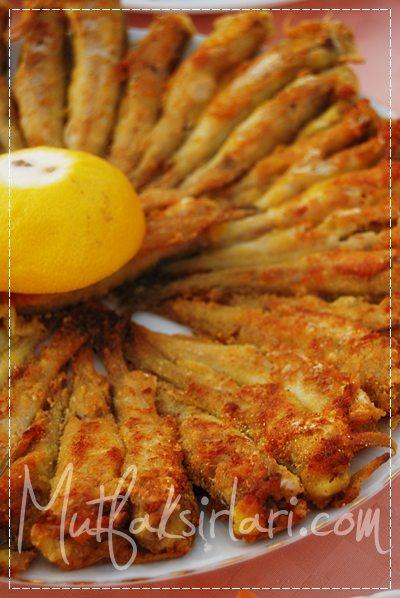 Mezgit Tava