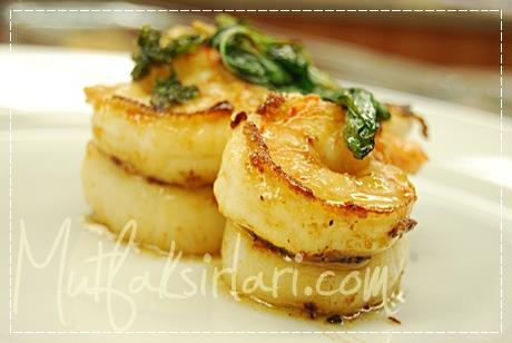 clam