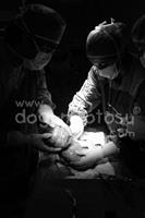 alevd_dogumfotosu-(12) Doğum fotoğrafı