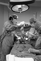 alevd_dogumfotosu-(8) Doğum fotoğrafları